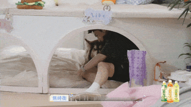 焦峙衡被狗哄好了焦峙衡见徐如蓝跟方益炯互动热，心里肯定有点闷。蹲下来跟狗狗待着