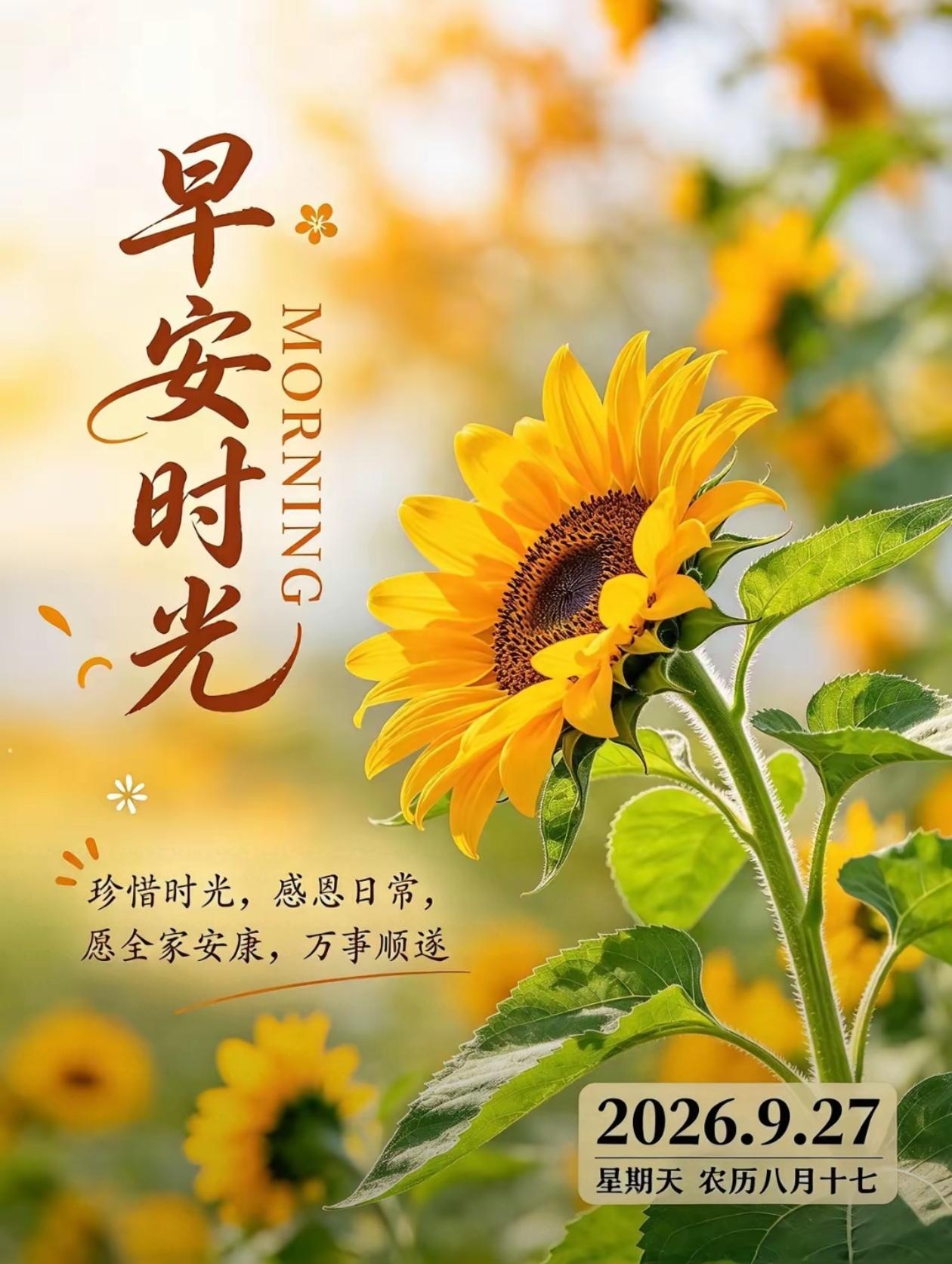 2026./9月27日，牵挂与惦念，随晨光铺洒，生活芬芳万事皆顺遂