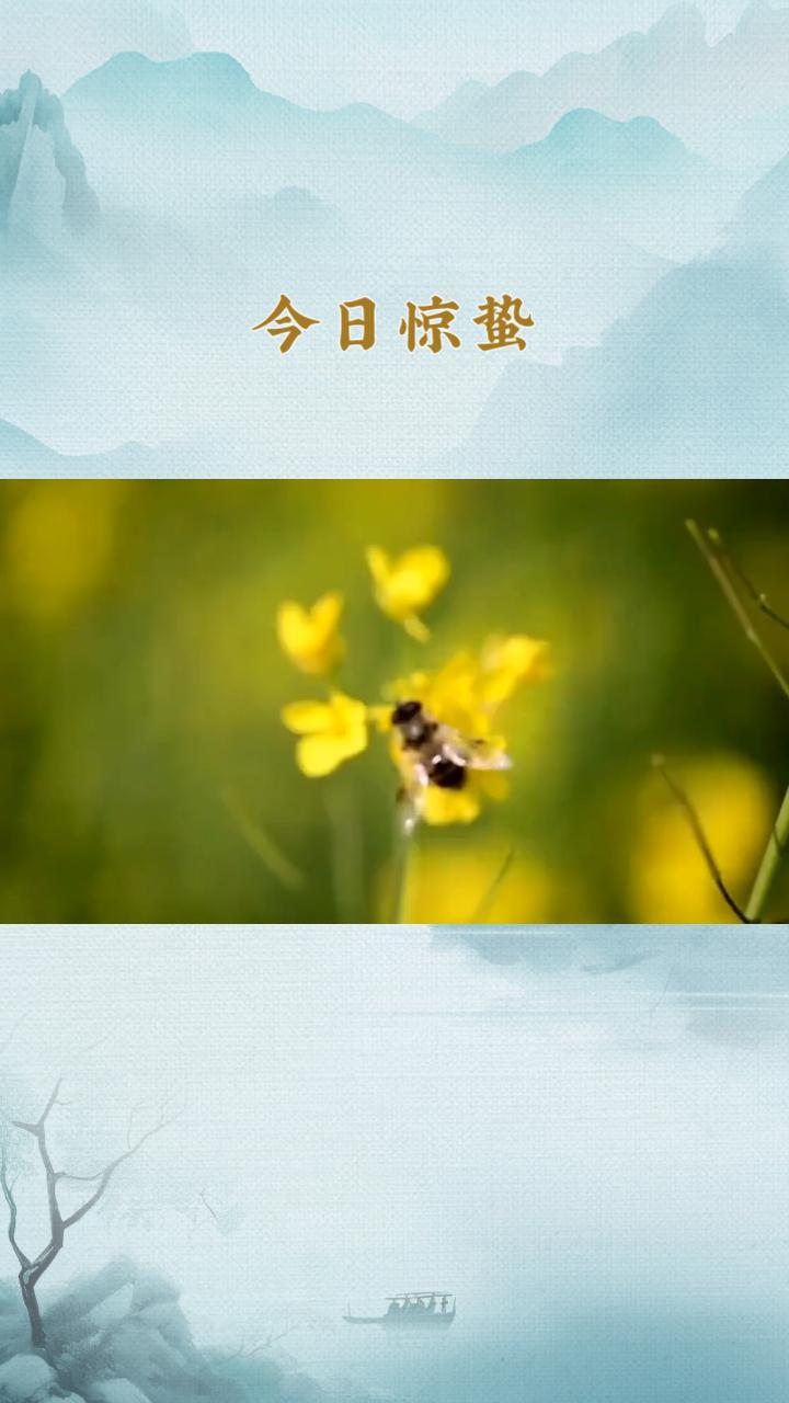 今日惊蛰，春雷唤醒沉睡的大地，万物复苏，你准备好了吗？今日惊蛰，标志着春天正式