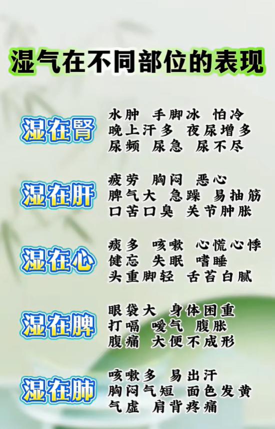 中医科普：湿在肾、肝、心、脾、肺，症状有哪些区别