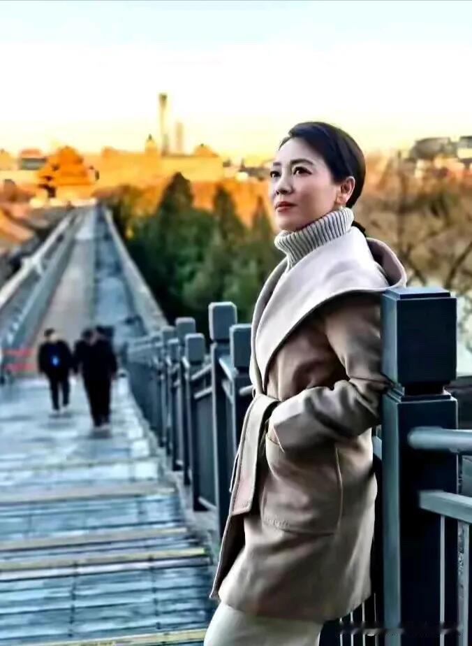 她是央视70后女主持人里目前最漂亮的一个，比董卿好看，气质真好。穿着浅咖的一件外