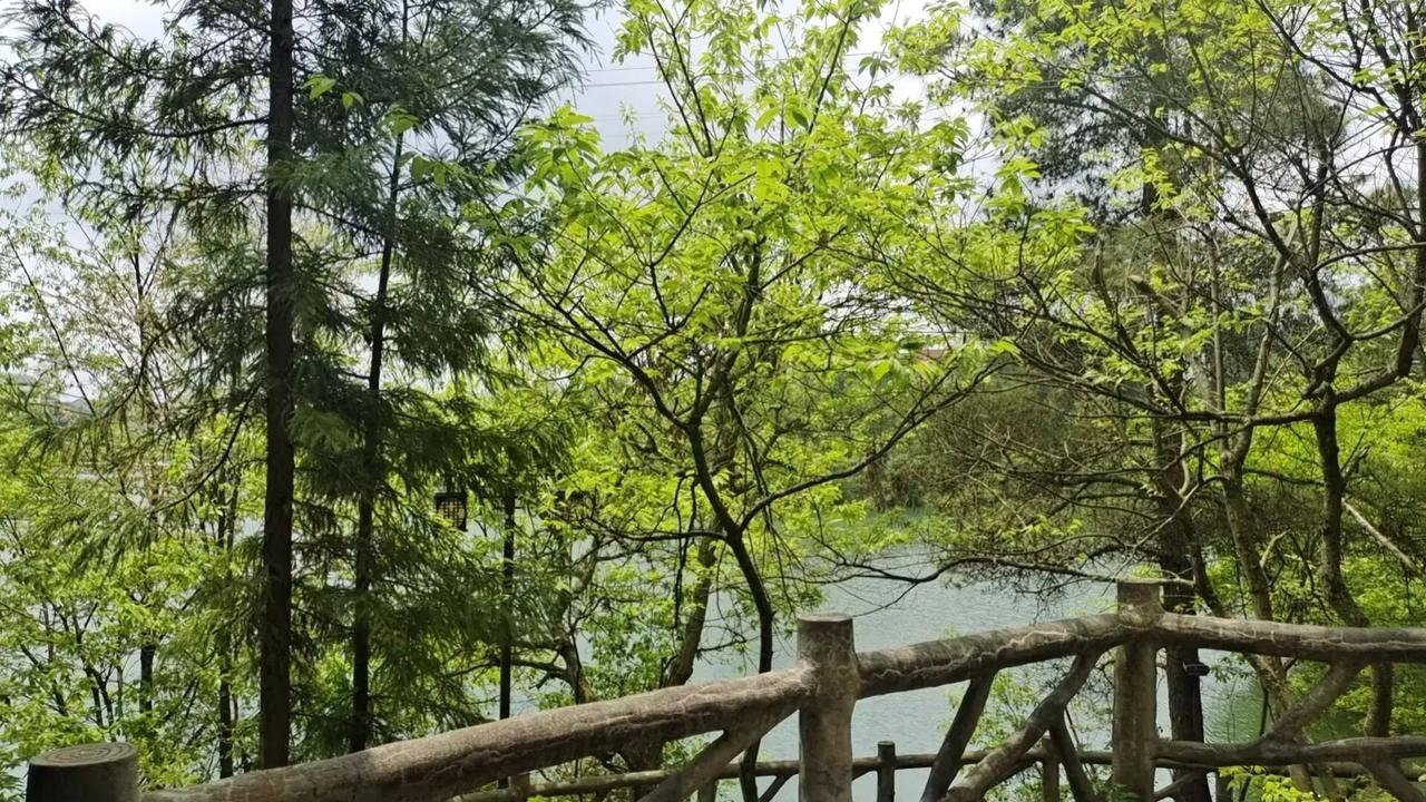 避暑圣地重庆市民首选三个地方解释这一周持续的高温天气，重庆火炉重新启动持续温度