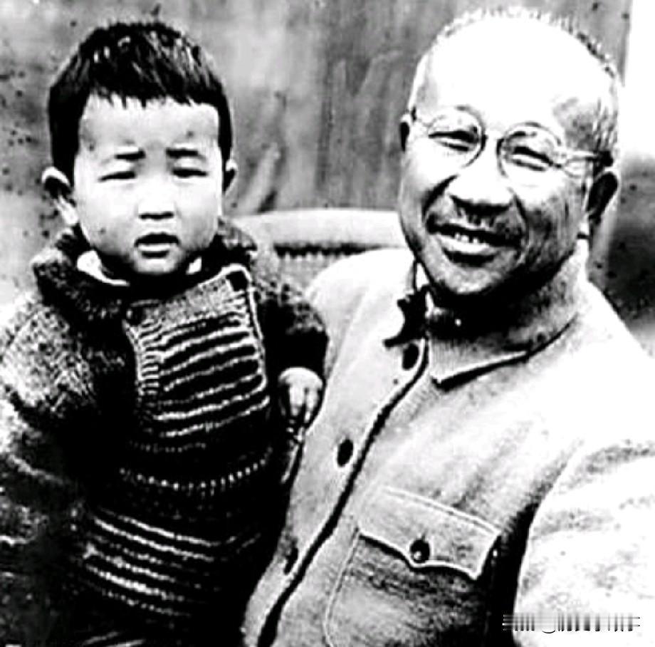 1943年，张云逸抓了国军将领赵凤藻的独子，对方提出用10挺机枪、100支步枪和