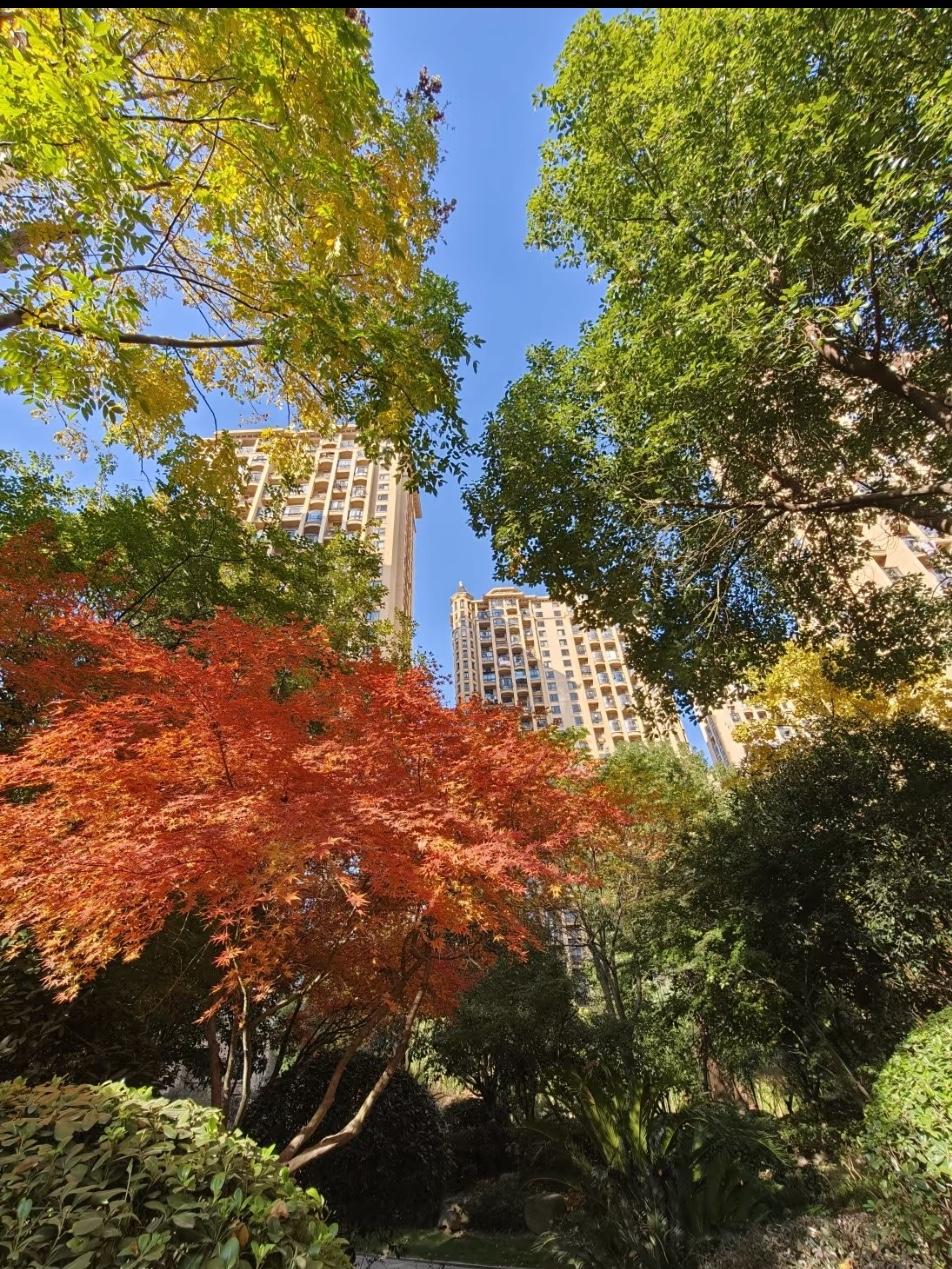 悄悄告诉你当前二手房市场隐藏的几个真相（27）！1、中介风向变了，由对房东说