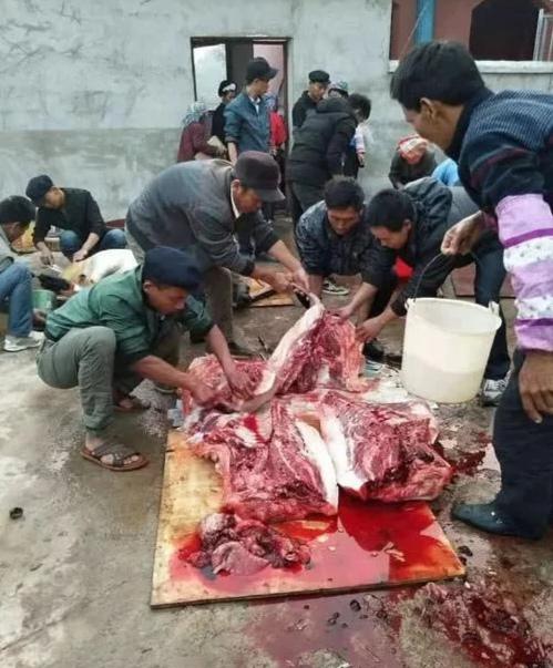 其一猪的品种不同。过去饲养的大都是各地不同、本地有名的传统黑猪种，肉内脂肪含量较