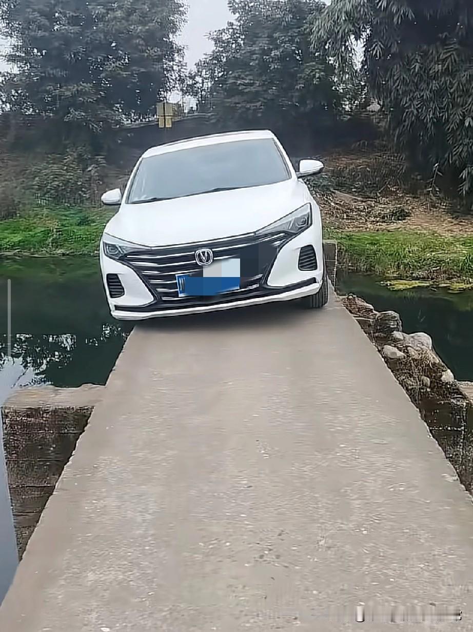 这桥你也敢开车主在乡间窄桥“极限操作”，网友：这技术我服了！今天刷到一段