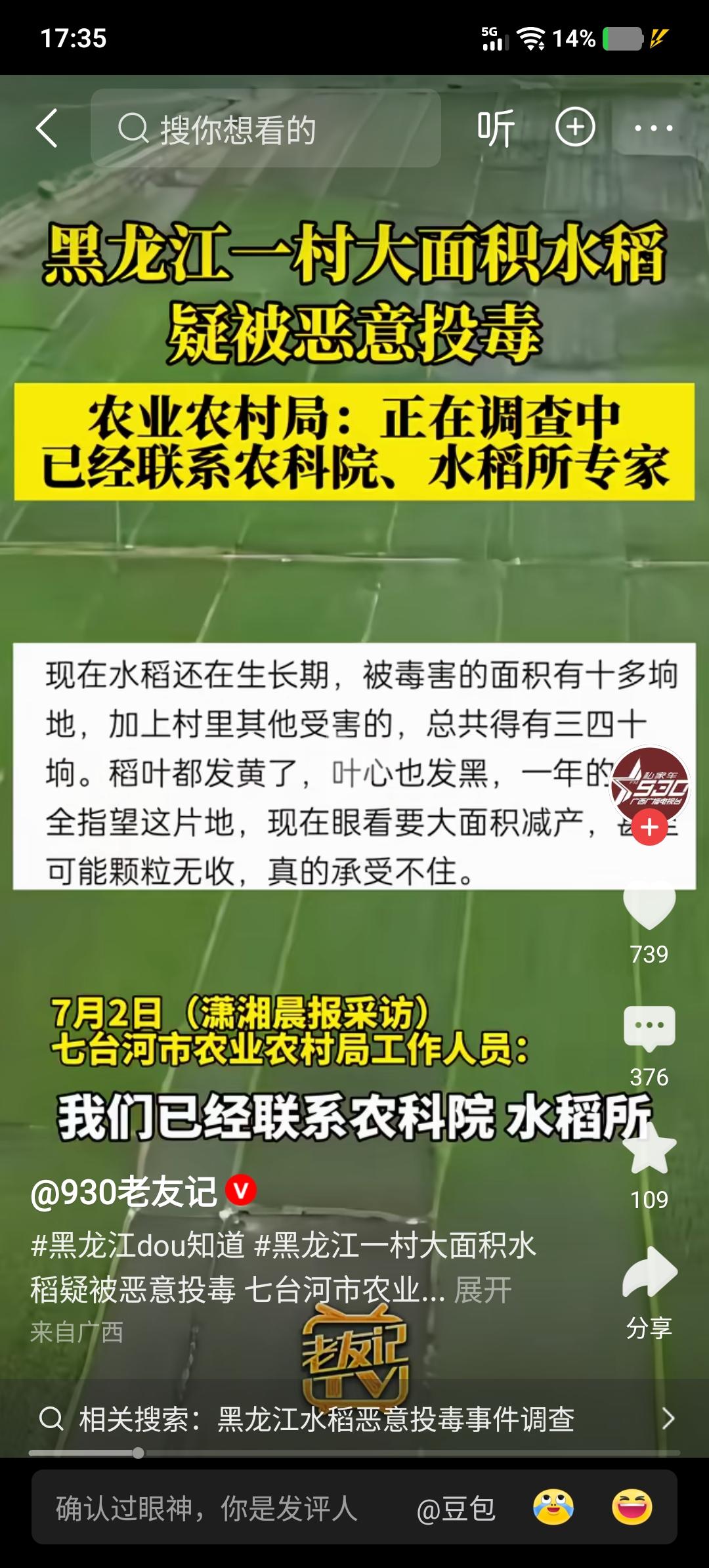 黑龙江七台河清泉村，一众农户辛苦耕耘的百亩水稻田，眼看即将进入关键生长期，丰收在