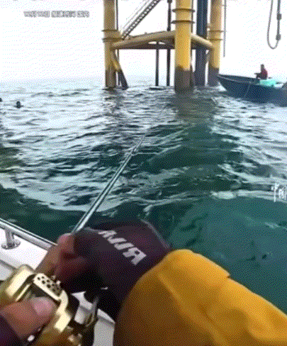 万万没想到，一男子在广西北海的海上钓鱼，钓了一会后，男子感觉好像有一条很大的鱼上