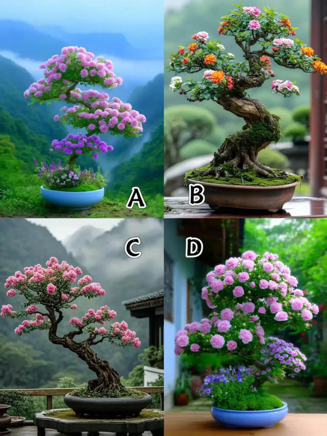 测你1年后会拥有什么？？下面四幅图的盆栽，你会选择哪一幅图的呢？据说这个测
