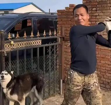 “狗的哪个部位是最脆弱的？”一位训狗20多年的老师傅说道：如果遇到恶犬扑向你的时