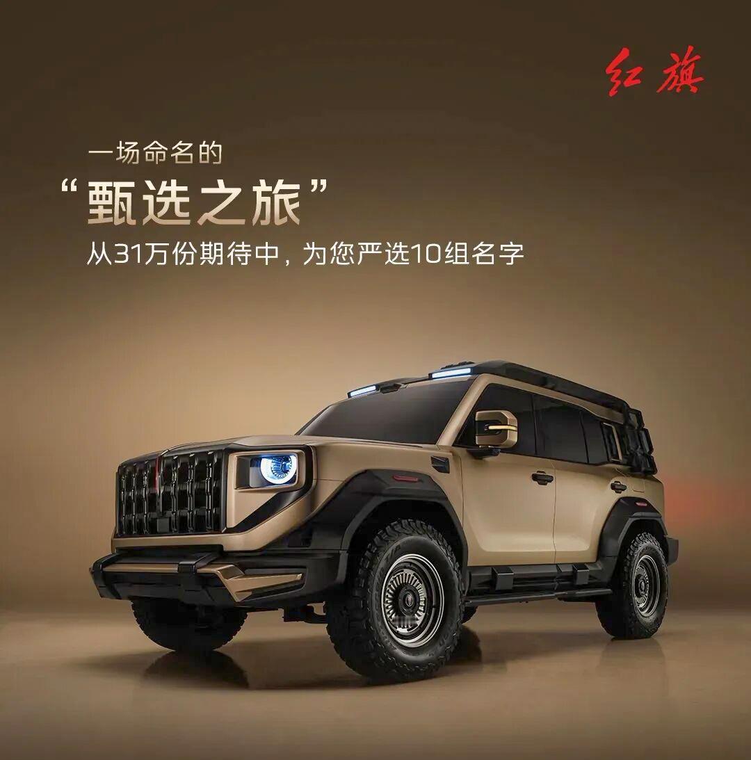 这起的10个名字水平怎么样？投票的话我投这个🔽🔽🔽