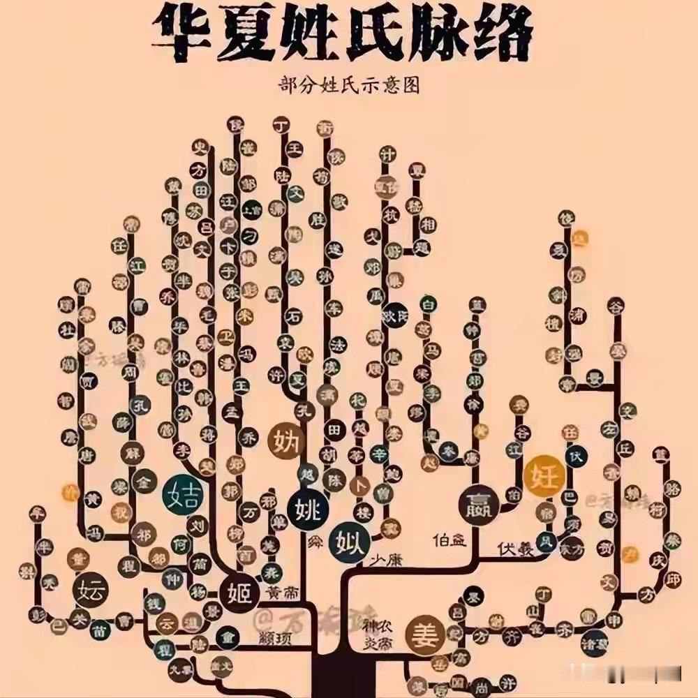 说个你可能不信的事。你身份证上那个姓，搁在三千年前，可能就是个奴隶的编号。