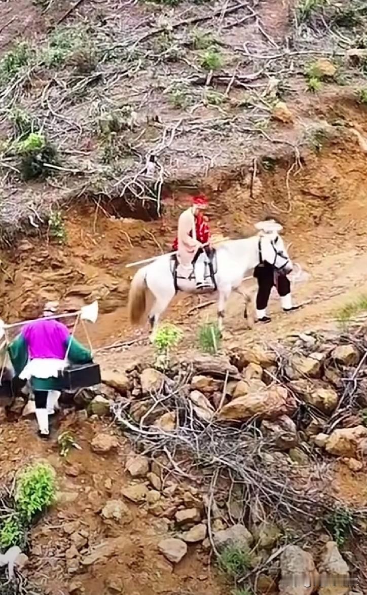 近日，有团队开启直播，唐僧，沙僧，孙悟空，猪八戒还有白龙马，一行人直播西天取经啊