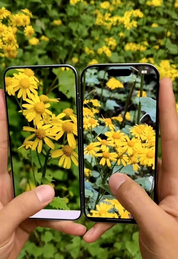 左边是3699的OPPOFindX8s，右边是7999的iPhone16