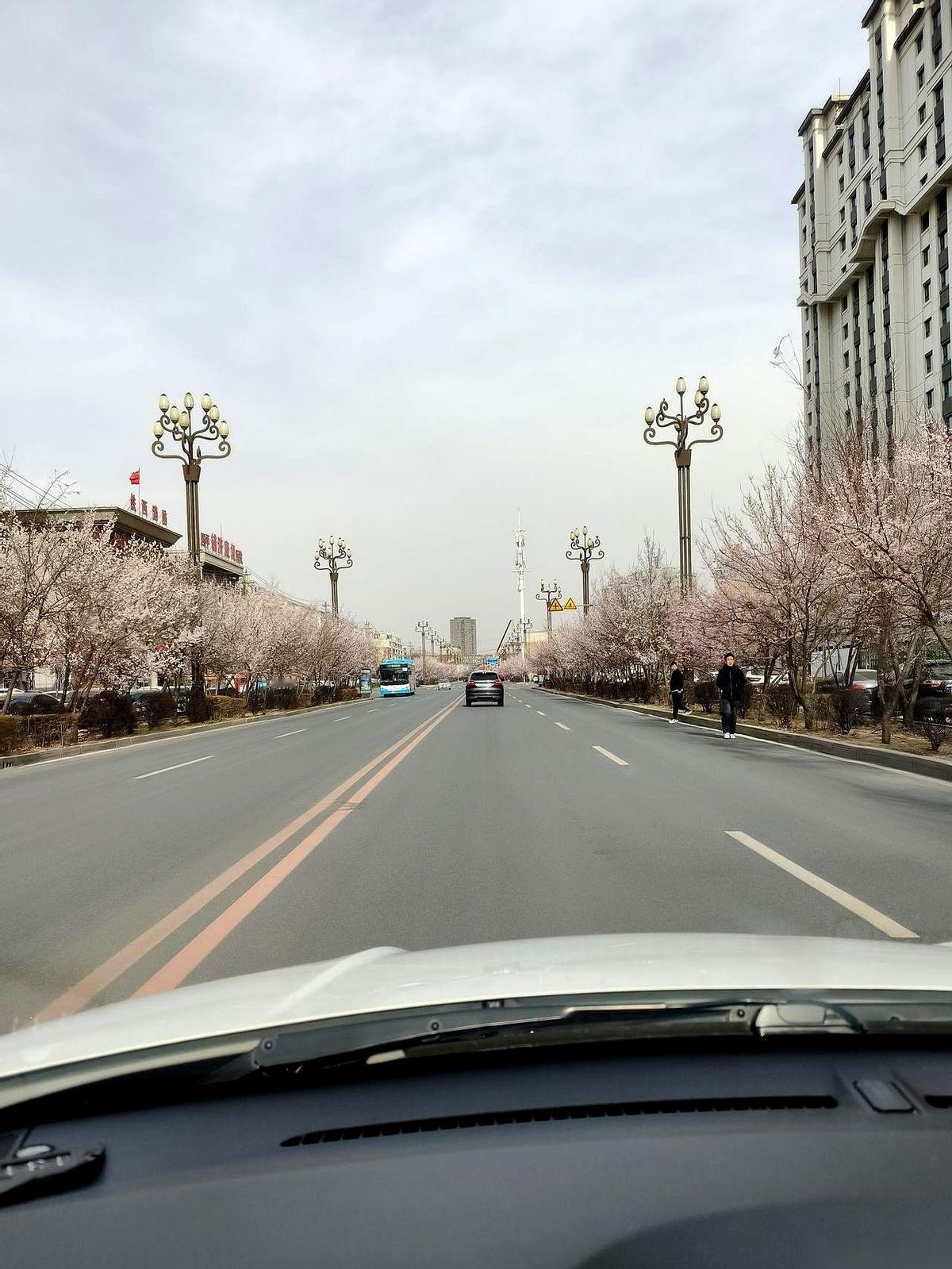 手机屏幕亮了，弹出的微信不是请客主人的，而是一个中间人发来的传话：“周末老家亲戚