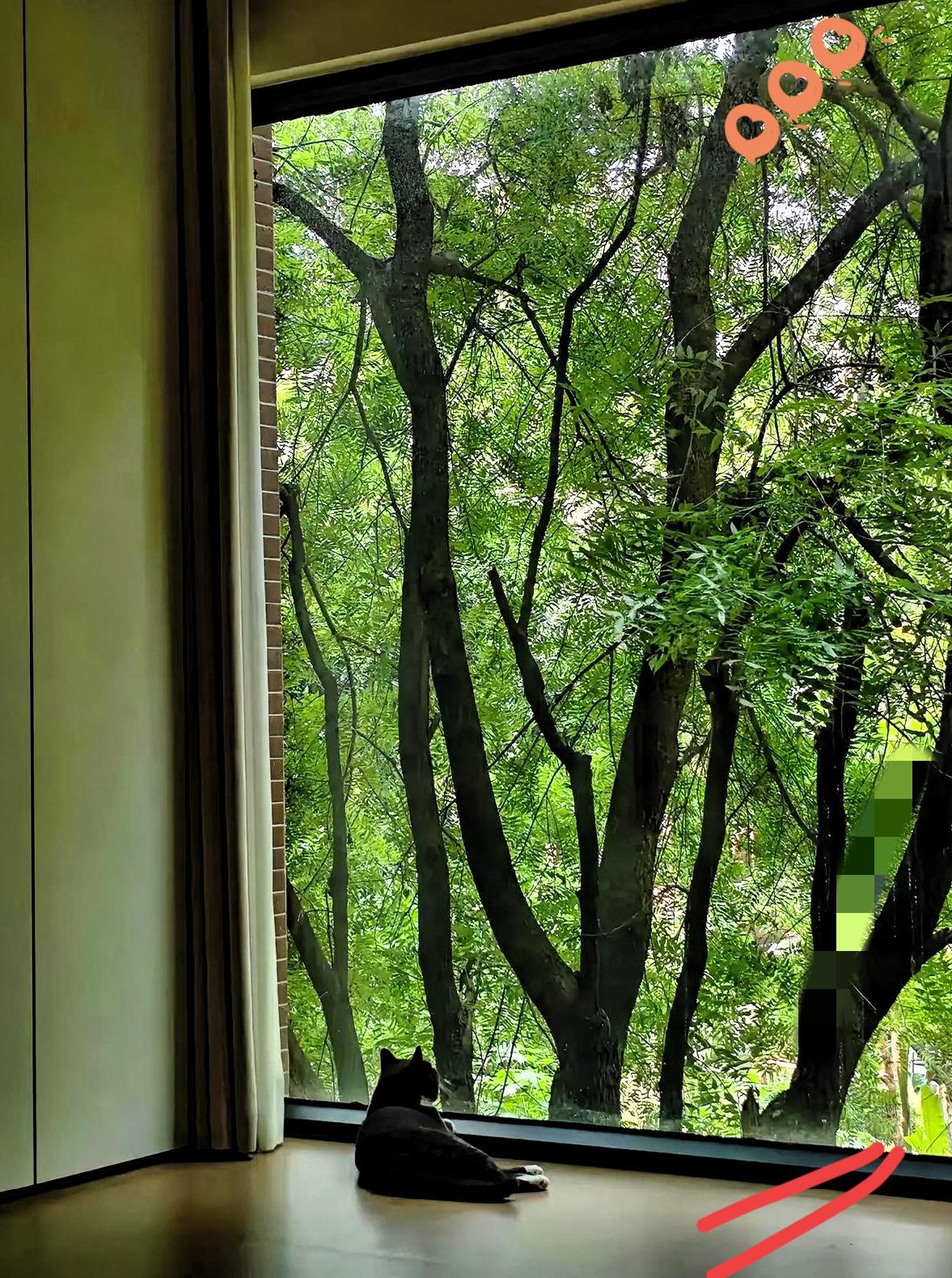 坐高铁时，老公主动帮邻座姑娘把重箱子抬上行李架，对方连句谢谢都没有，全程面无表情