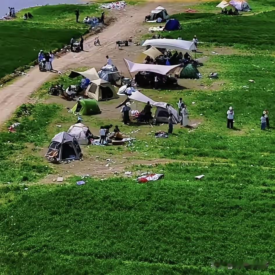 近日江苏沭阳农民干了一件大事，把通往麦田地的路给挖断了，为的就是不让车辆通行。原