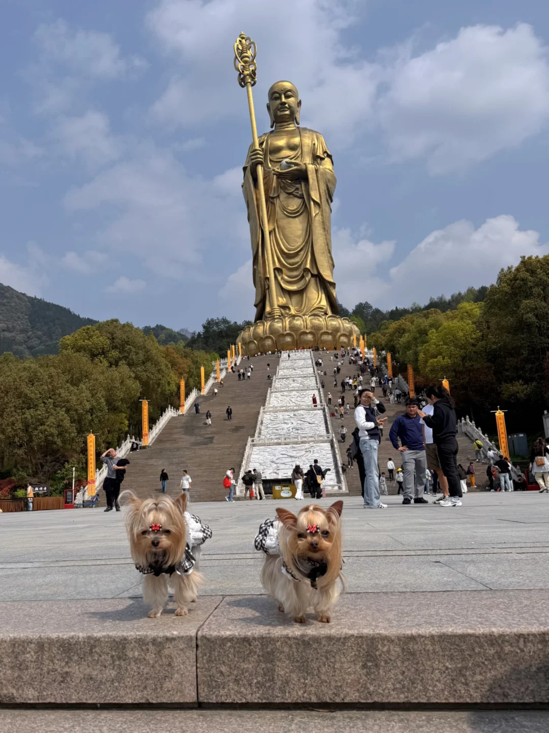 旅行58｜4月带狗自驾游第三站-大愿文化园