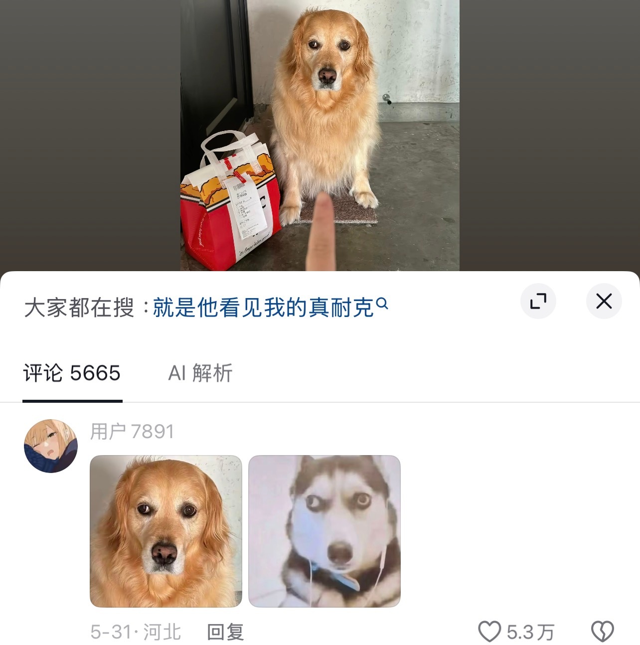 很好笑吗我觉得很悲情