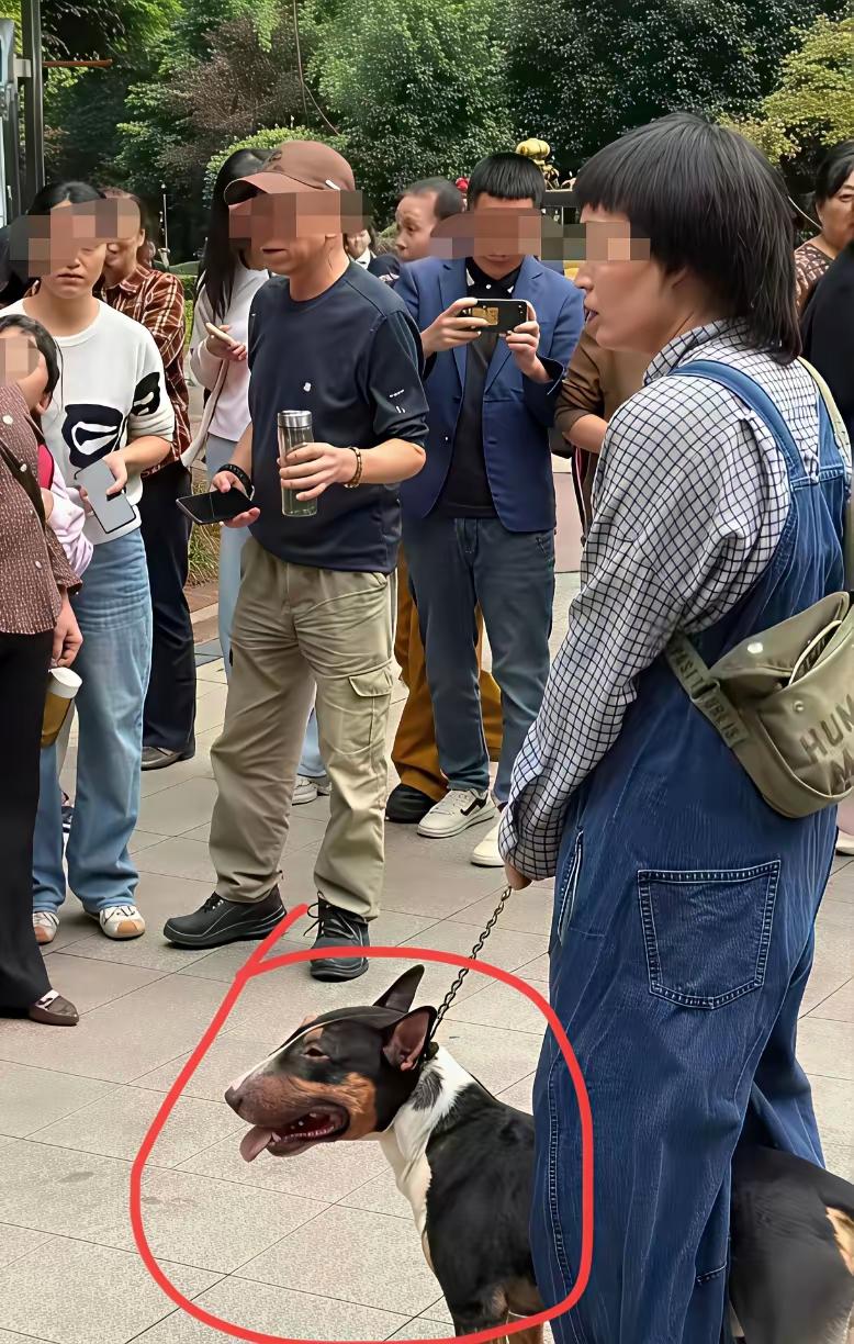 那只恶犬已经被处S了，狗主人目前被警方刑事拘留，希望狗主人一定要被严惩，绝不姑息
