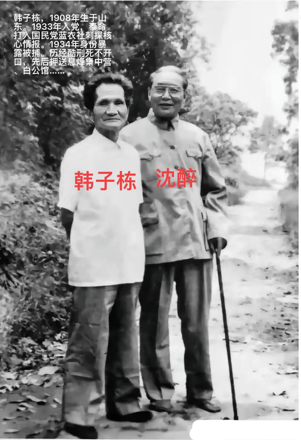 1947年，沈醉到白公馆视察，发现一个疯老头在跑步，就觉得他是装疯，可是看守觉得