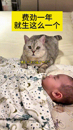 我的妈呀，这猫也太像个老父亲了！天天陪着娃吃陪着娃玩，娃一睡着，它就蹲旁边直勾勾