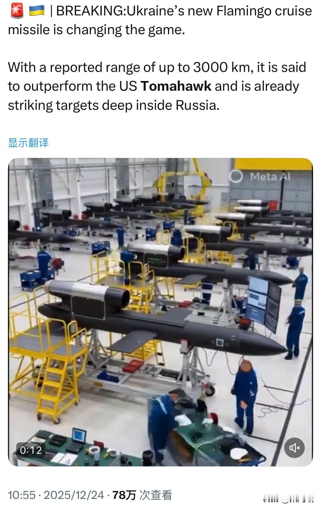 突发新闻：乌克兰新型“火烈鸟”巡航导弹正在改变游戏规则。据报道，该导弹射程可