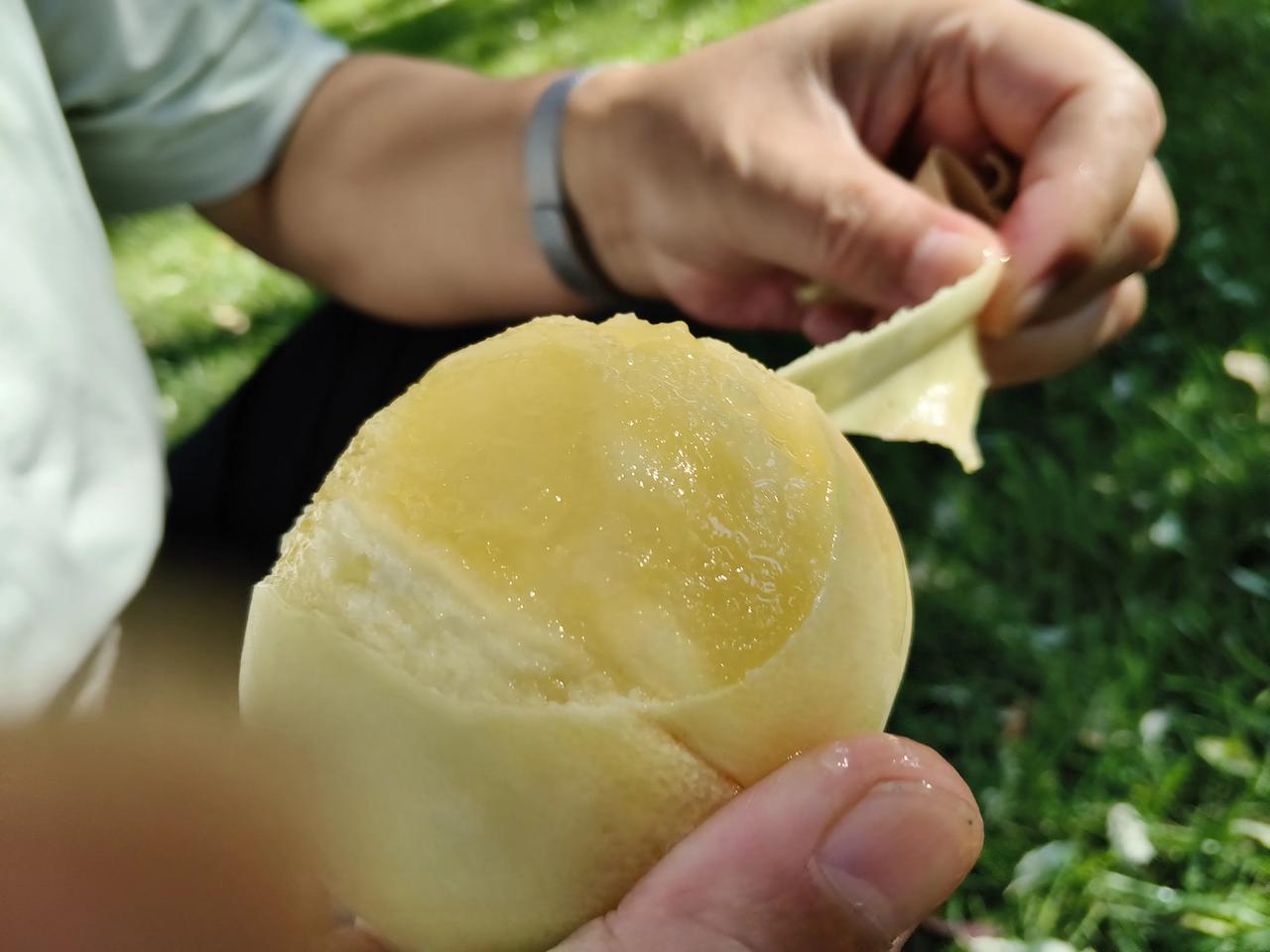 我相信能够吃到正宗白凤桃的人不多，白凤桃可是稀缺资源。作为本地人很难吃到这么好