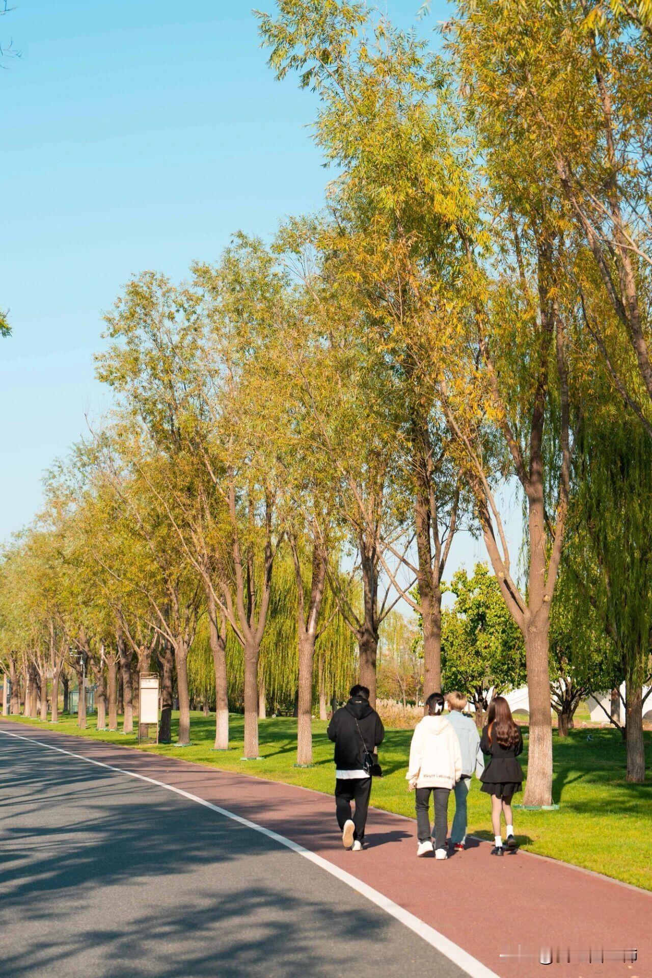 难怪现在越来越多的男孩不想找对象。26岁的儿子通过朋友介绍认识了一个女孩，两人