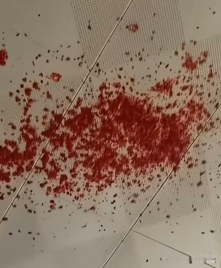 如果你觉得图一是辣椒面，那就错了，那是辣椒酱！如果你觉得那是撒在地板上，你又
