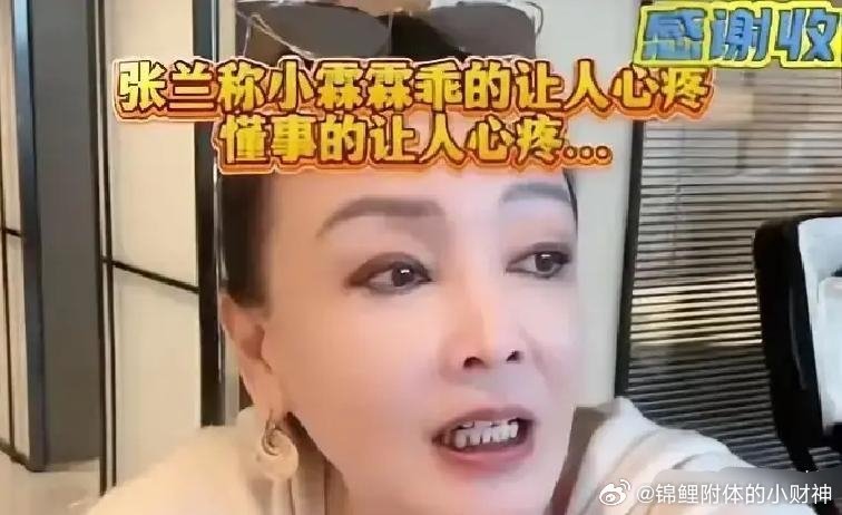 张兰为什么担心在多年以后，没人保护两个孩子，原因有两点。第一，马筱梅生完孩子后变