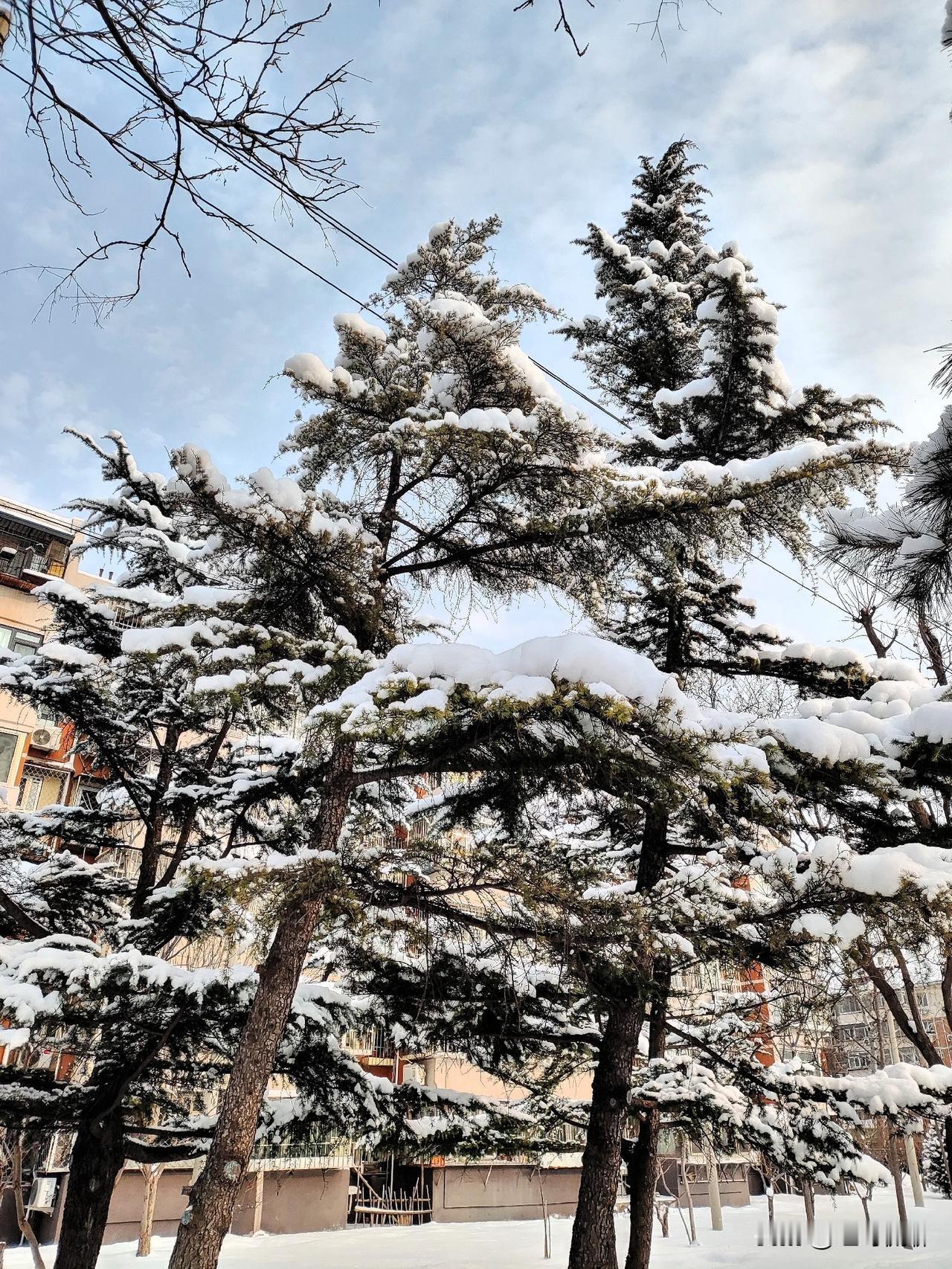 以下是中国各个朝代的一些著名书法家：-秦汉时期：李斯是秦朝书法家，主持创