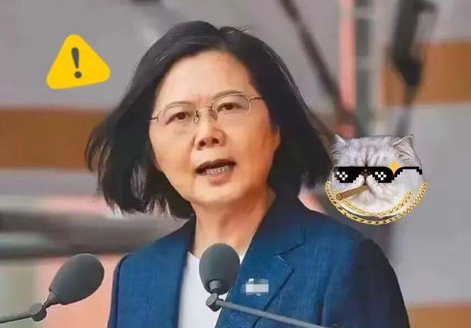 岛内传出消息“台独首恶”蔡英文将于11月8日，窜访德国，并在11月10日在“