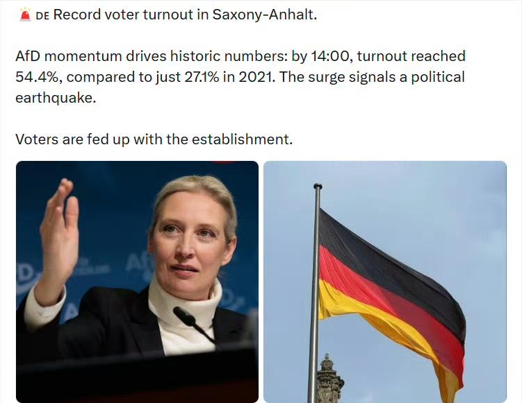 德国萨克森-安哈尔特州创下历史最高投票率。德国选择党(AfD)的势头推动投票