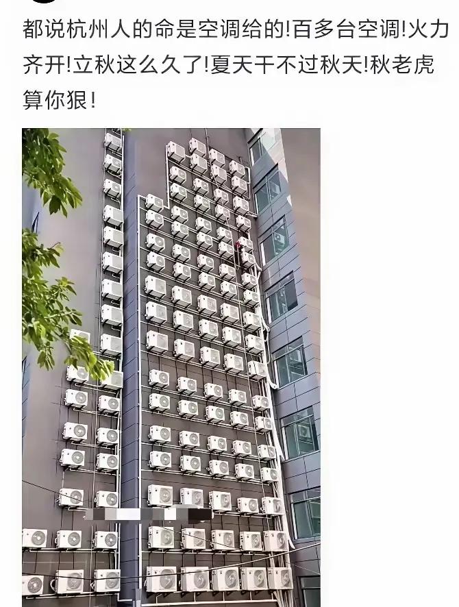 杭州的夏天居然这么热吗？
