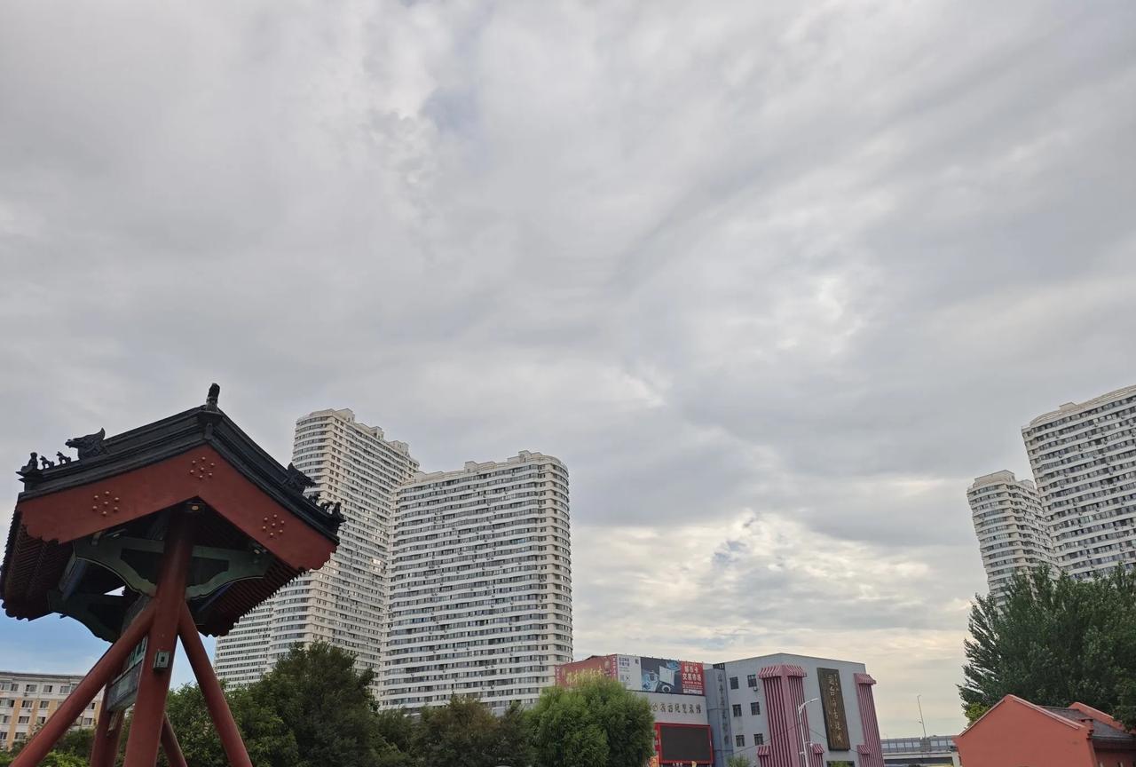 表哥昨晚给我打电话，和我要大舅妈的电话号码，说看看啥情况，他在朋友圈看见大舅妈还