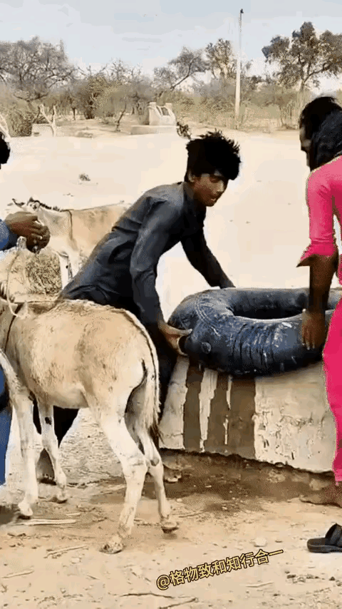 怎么感觉人比驴还驴[笑着哭][笑着哭]