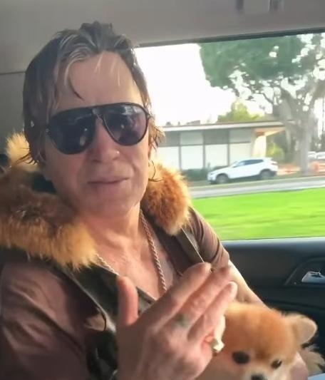 又一个好莱坞巨星被斩杀，曾经风靡万千少女的好莱坞硬汉米基洛克，出演过史泰龙的《敢