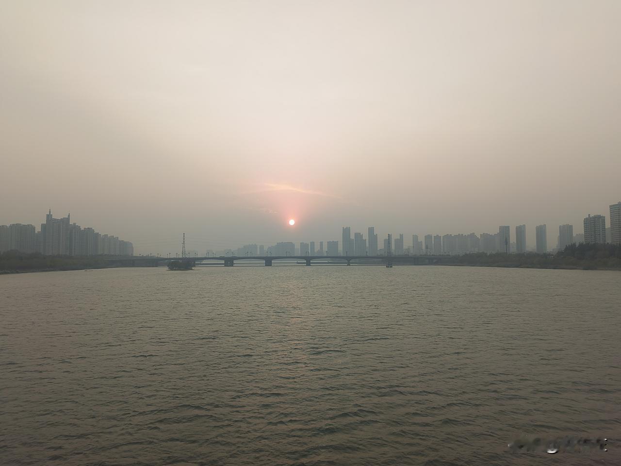 今天一位关系很好的同事悄悄问我，姐，有副高职称的你，会选择55岁提前退休你还是6