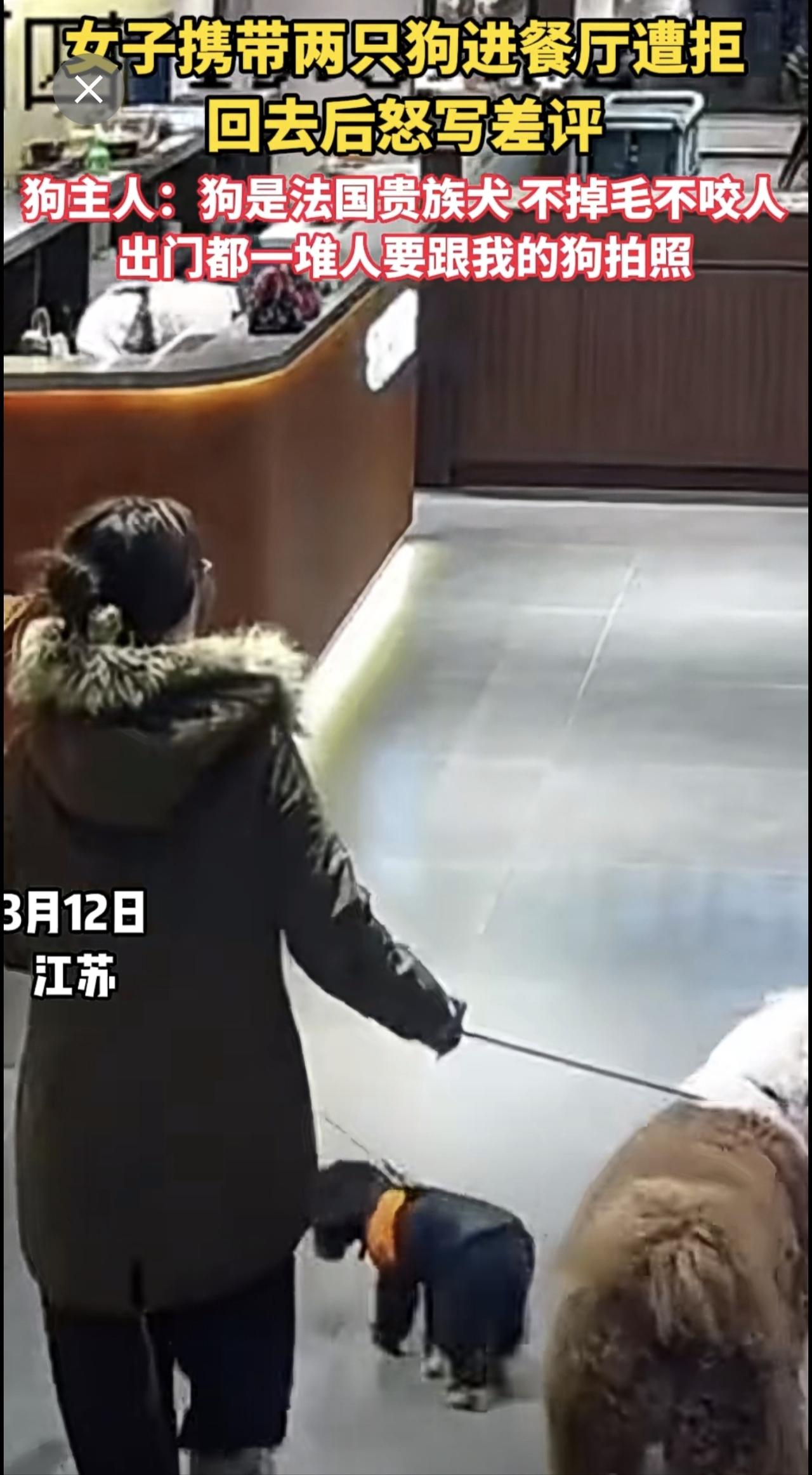 女子携带两只狗进餐厅遭拒回去后怒写差评狗主人：狗是法国贵族犬不掉