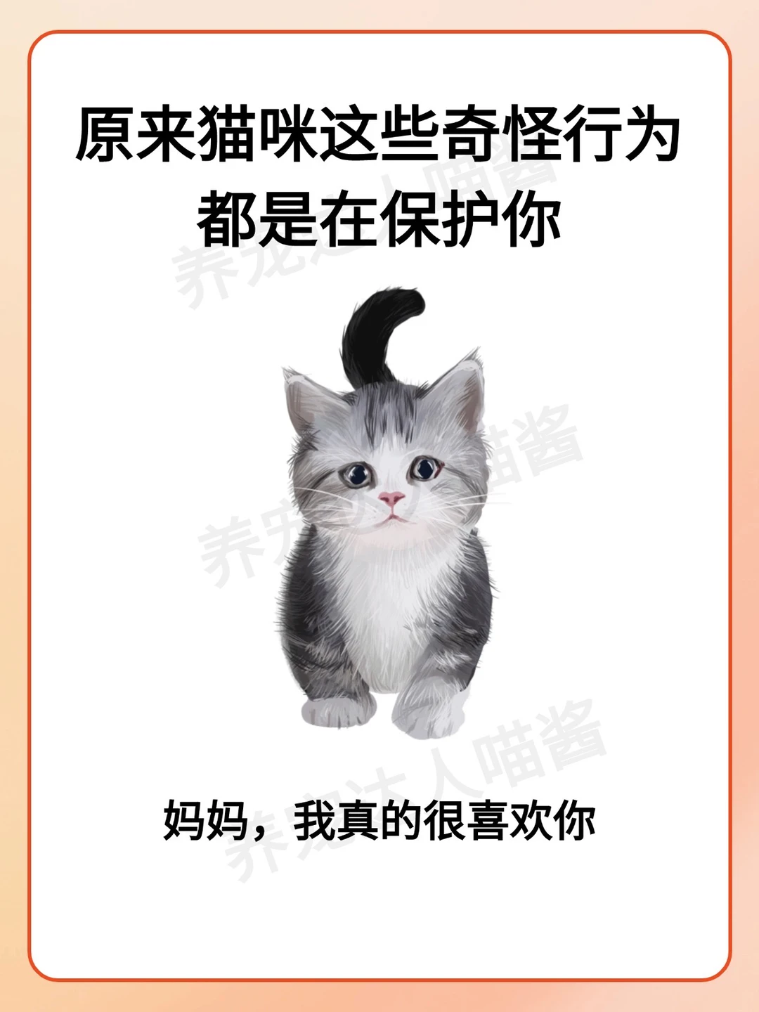 原来猫咪这些奇怪行为都是在保护你