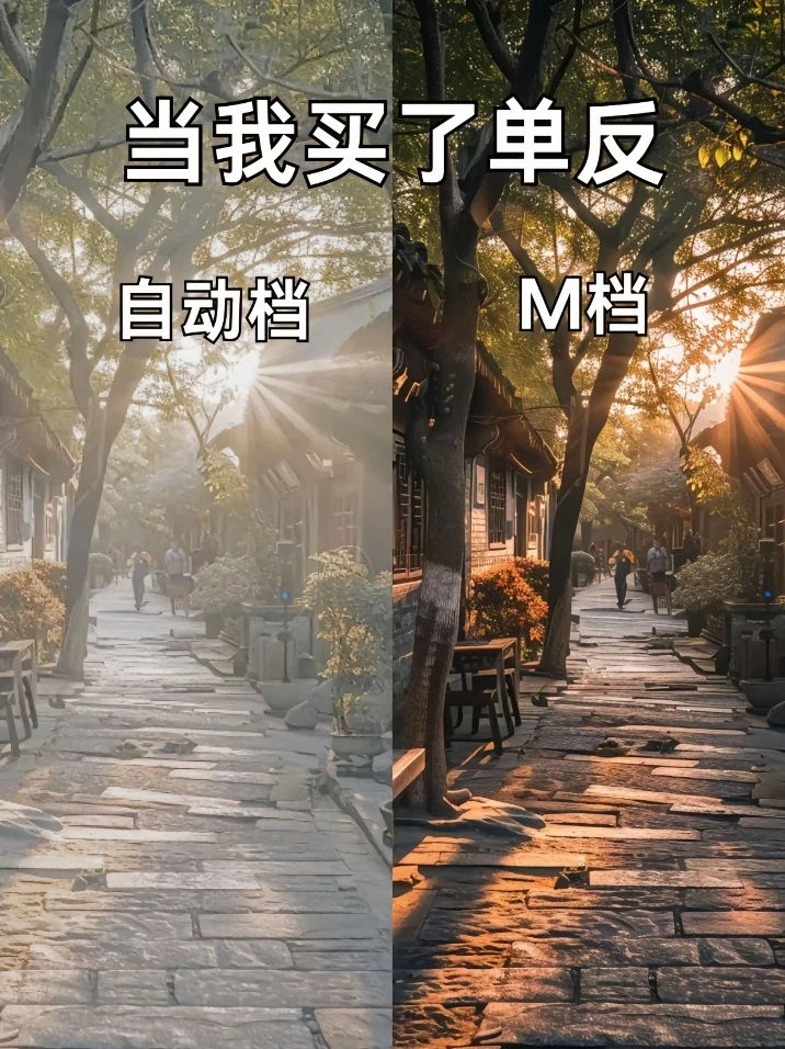 拒绝死记硬背，M档万能口诀‼️