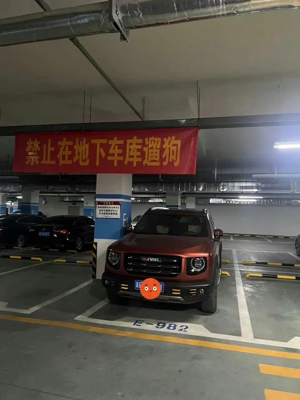 哈弗大狗：说谁呢！😡