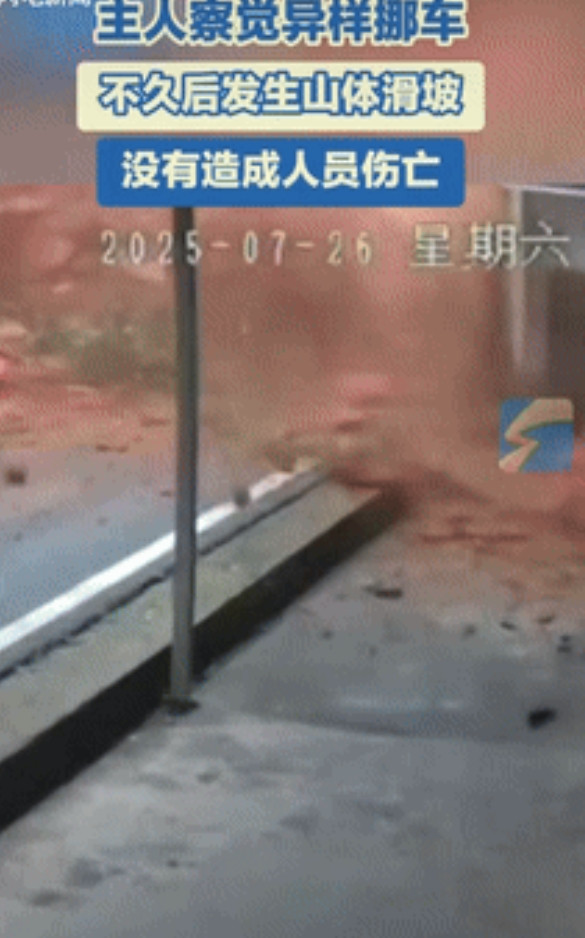 “这下解释不清了！”四川乐山，一女子发现家里养的3只狗，总是朝着车子停放的位置狂