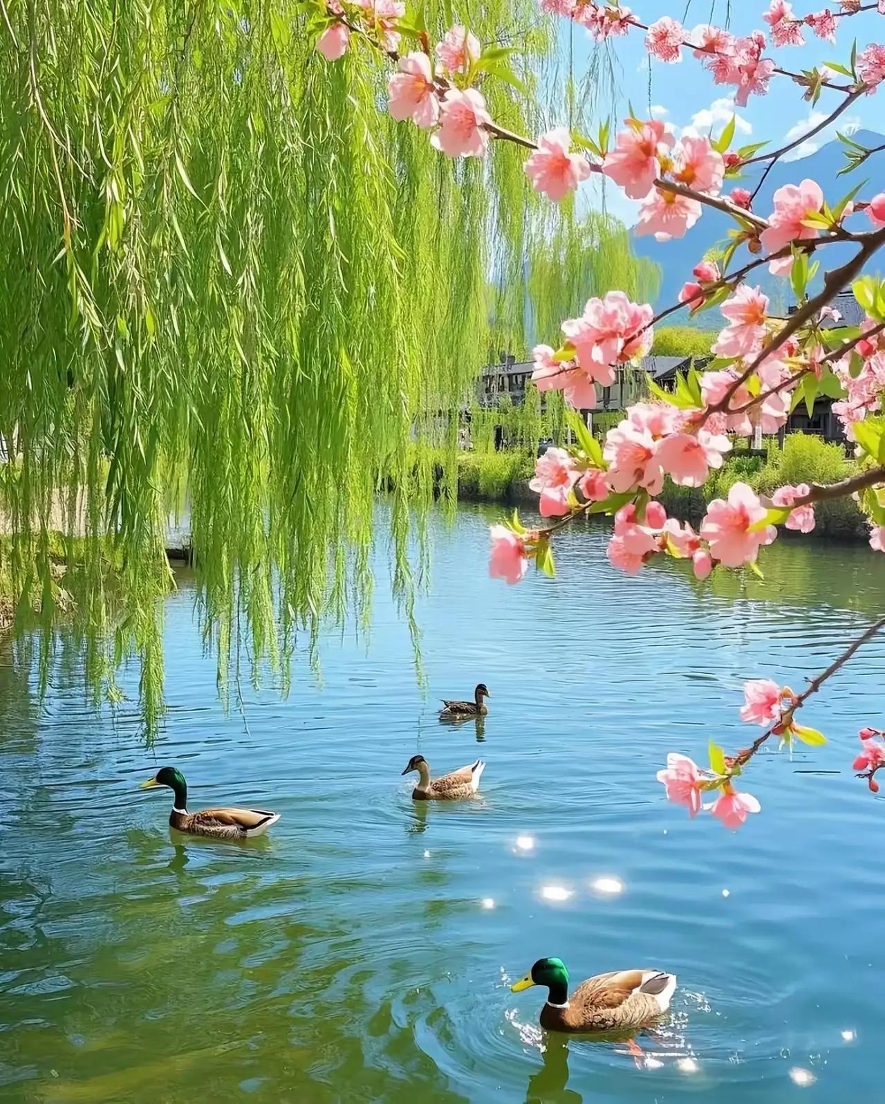 续句诗：槐阴移过短墙西，倦眼微开日又低。睡里不知谁唤我，晨钟暮鼓有其一。