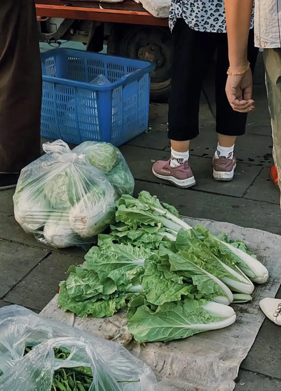 真搞不懂，这样活着的意义是什么？我老公的姑姑，她是做水产生意的，家里有两套房