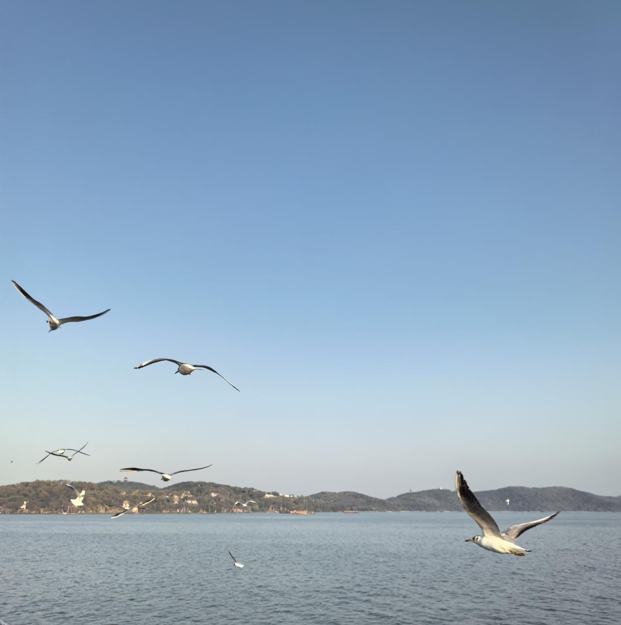 美丽的太湖，美在太湖水，美在湖中景。