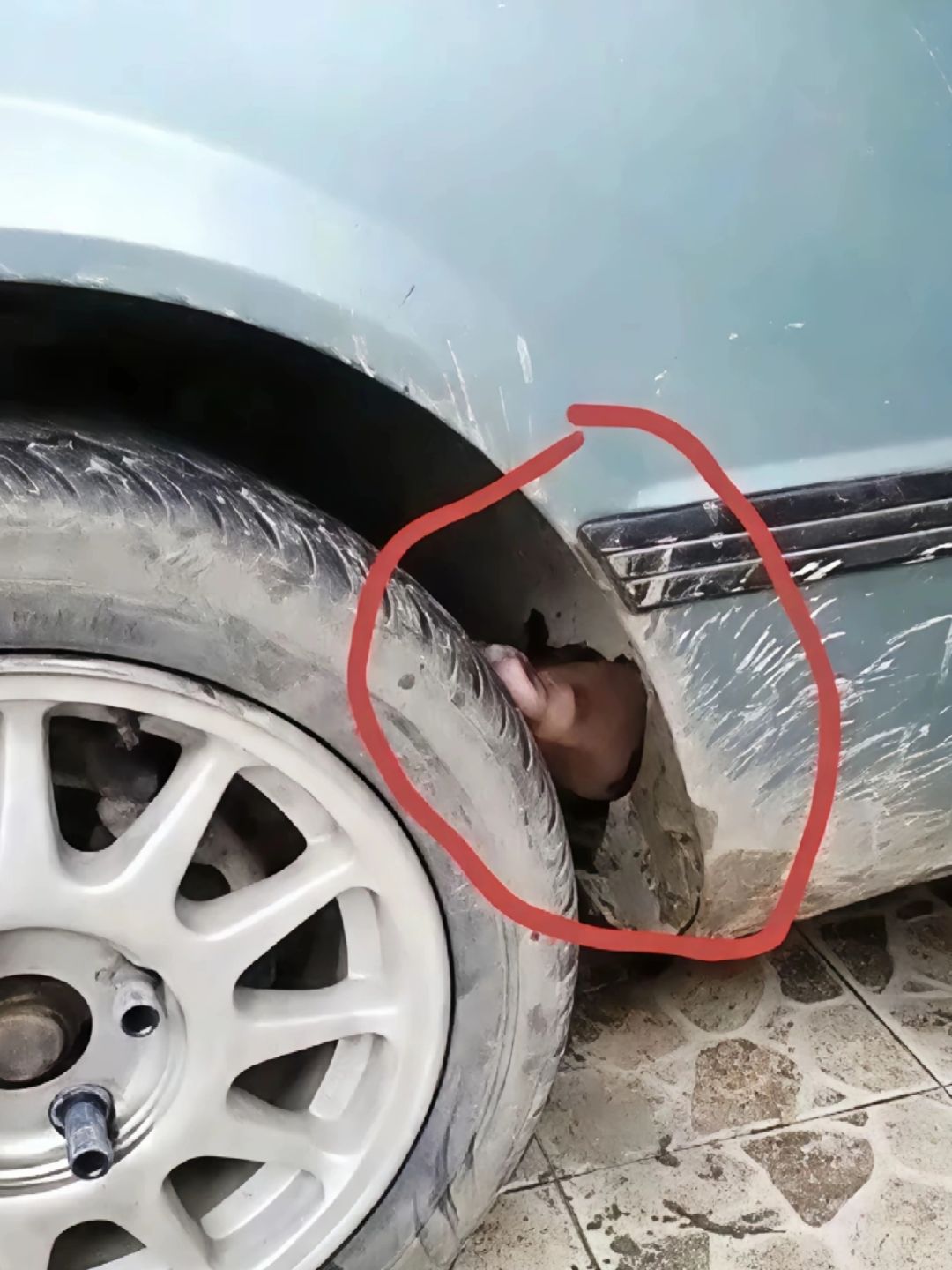你们刹车的脚刹是这样吗？