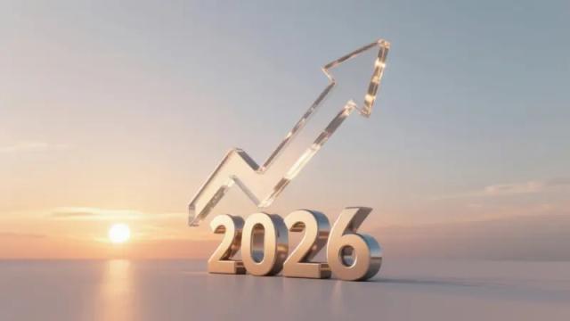 2026年，中国面临怎样的国内外形势？2026年是中国