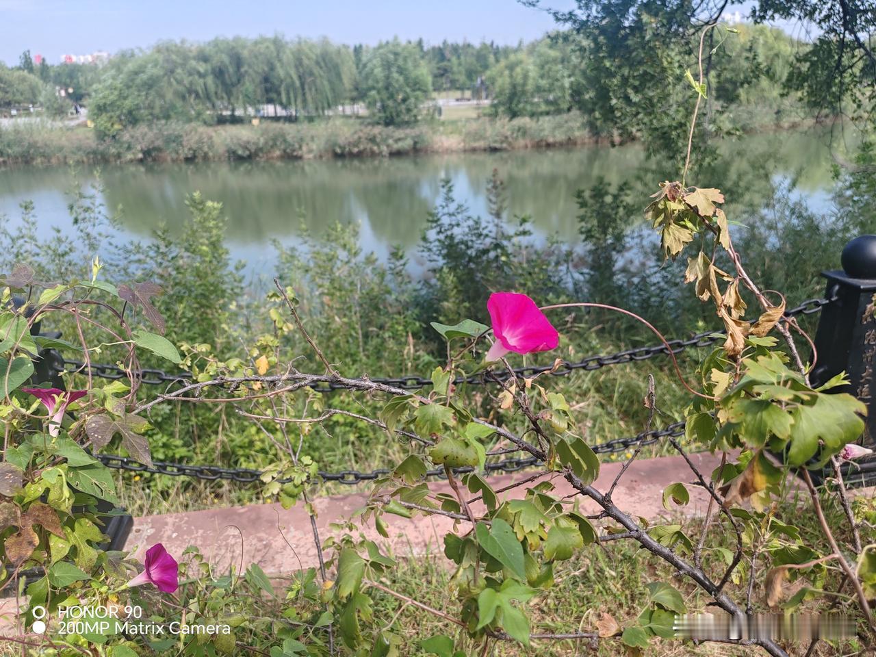 2001年，我在某旅属炮兵团政治处干部股当干事。当时组织股有位梁干事，我们相处关